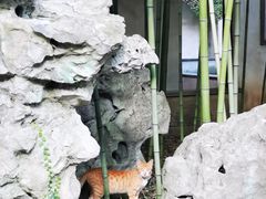 -秋霞圃