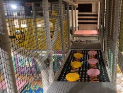 -meland club亲子乐园(重庆万象城店)