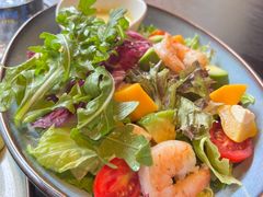 -bluefrog蓝蛙(水游城店)