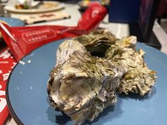 牡蛎-吉布鲁 牛排海鲜自助(岳塘步步高广场店)