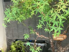 -大榕树下顺德菜(融创茂店)