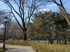 -玲珑塔公园