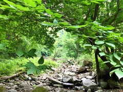 -秦岭风景区