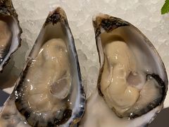 -Oyster Talks 四度蚝法餐厅