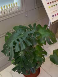 -爱空间美睫健康美甲