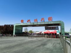 -曹州牡丹园