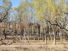 -东升八家郊野公园