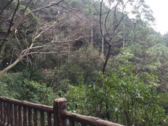 -三门江国家森林公园