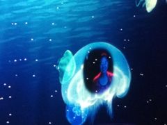 -瑞普利水族馆
