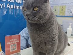 -全心全意连锁动物医院·微创中心·内科急重症·心脏专科(丰管路店)