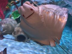 -沈阳海洋探索中心