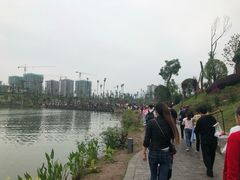 -枫香湖儿童公园