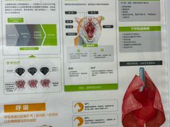 -瑞鹏宠物医院·普外科·影像科·皮肤科(城市山谷分院)