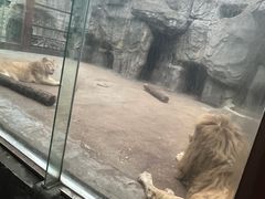 -南昌动物园