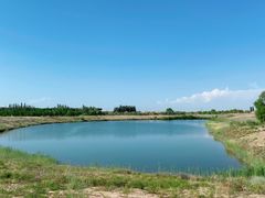 -黄沙古渡原生态旅游区