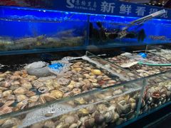 -苏格里岛自助海鲜烤肉(青秀万达店)