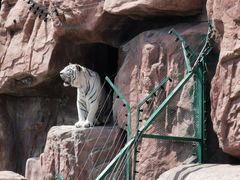 -鄂尔多斯野生动物园