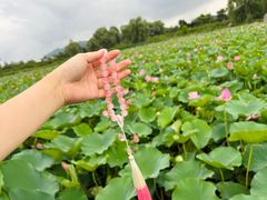 -羊亭河湿地公园