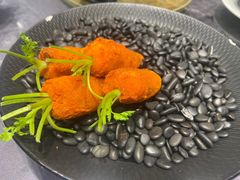 -丁老爷子苏香圆