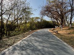 -盘龙城国家考古遗址公园