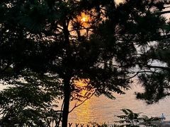 -小麦岛公园