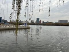-莲花池公园