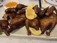 金牌烧乳鸽-沙田新强记烧鹅海鲜酒家