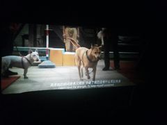 -汇金缪斯影城(八佰伴店)