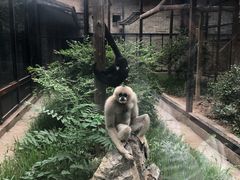 -石家庄市动物园