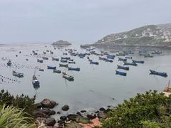 -魚當家