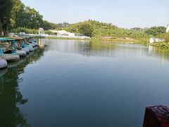 -松山湖梦幻百花洲