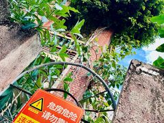-集美学村