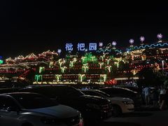 -枇杷园食为鲜火锅(南山店)