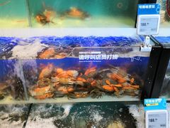 -盒马鲜生(杭州运河上街店)