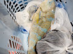 -三亚火车头万人海鲜广场