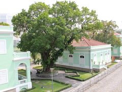 -龙环葡韵住宅式博物馆