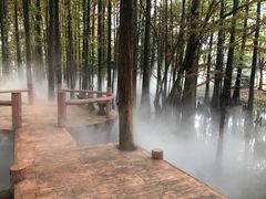 -东湖落雁景区