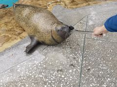 -海合安成都极地海洋公园