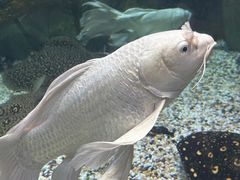 -正佳极地海洋世界