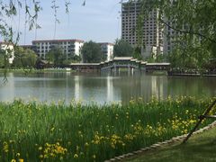 -西海子公园