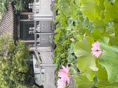 -莲湖公园