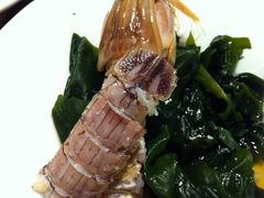 -江户前日本料理(瑞诗酒店店)