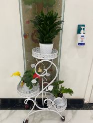 -纵享怡月月子中心(西稍门店)