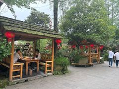 -青城甲(青城山店)