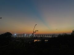 -宝安西湾红树林湿地公园