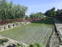 -鄞州雪菜博物馆