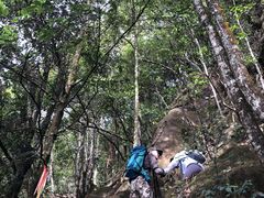 -鸡枕山