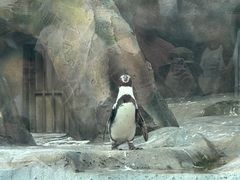 -武汉动物园