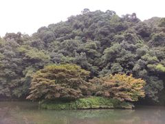 -龙井村