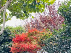 -蜗牛 Snail Bar·咖啡酒馆